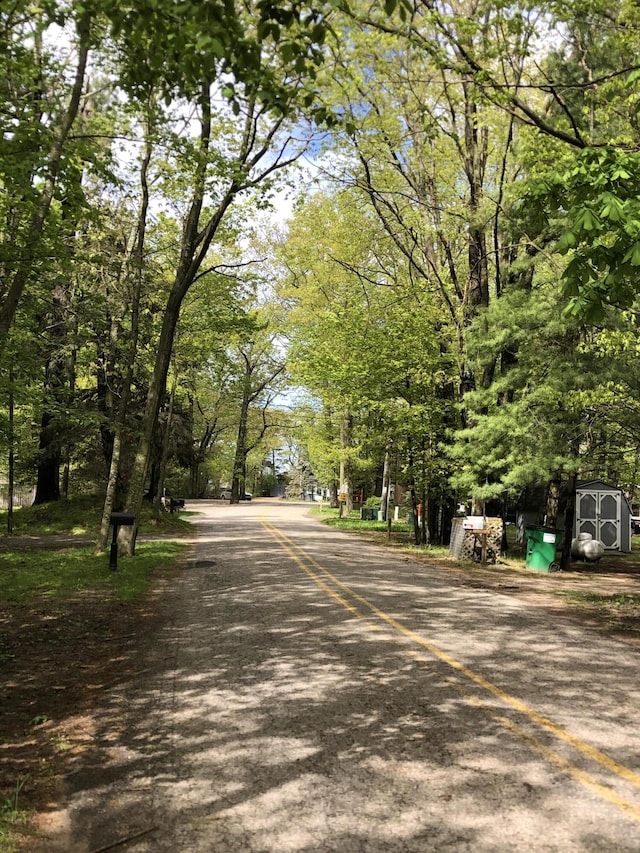 534 N Lighthouse Dr, Mears, MI 49436 - view of asphalt road