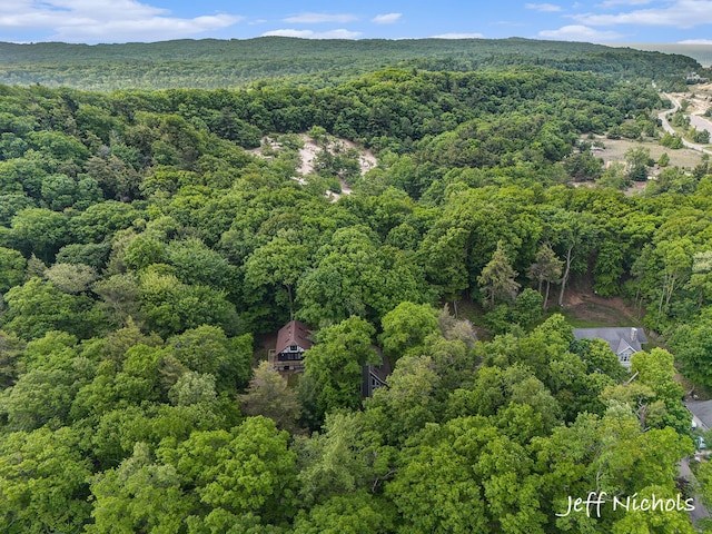 534 N Lighthouse Dr, Mears, MI 49436 - aerial overview of property's location featuring a heavily wooded area