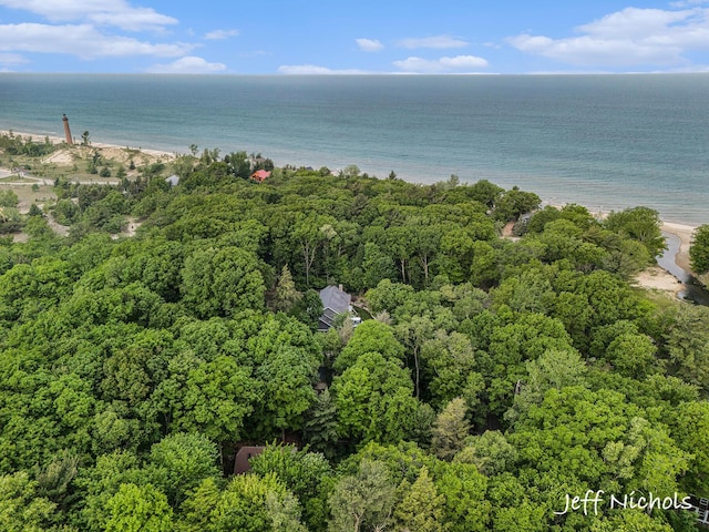 534 N Lighthouse Dr, Mears, MI 49436 - bird's eye view of expansive beach