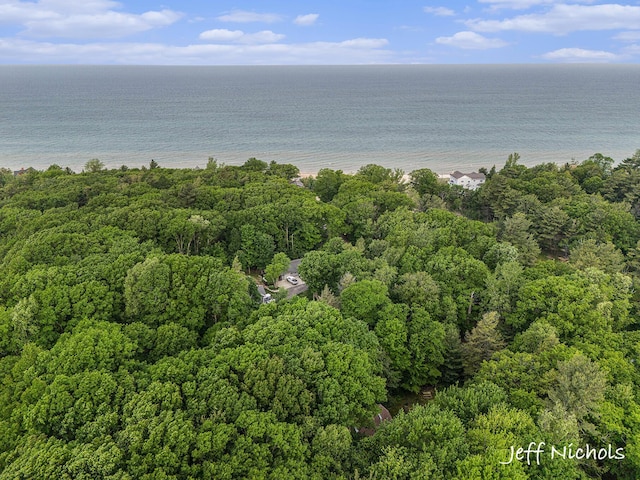 534 N Lighthouse Dr, Mears, MI 49436 - aerial view of a nearby body of water