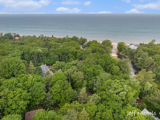 534 N Lighthouse Dr, Mears, MI 49436 - bird's eye view of a nearby body of water and a heavily wooded area