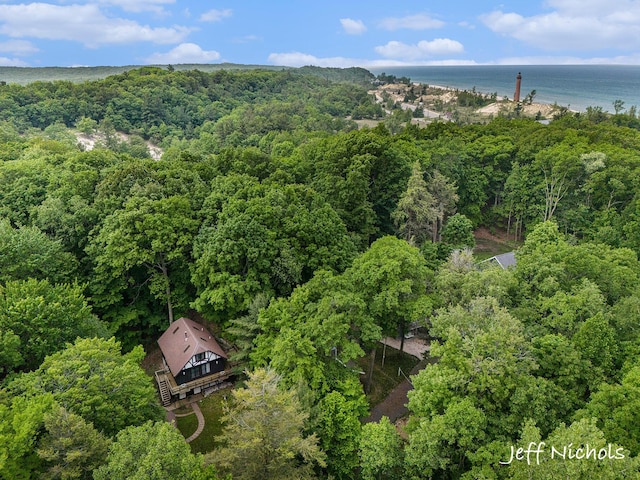 534 N Lighthouse Dr, Mears, MI 49436 - drone / aerial view of a forest and a large body of water