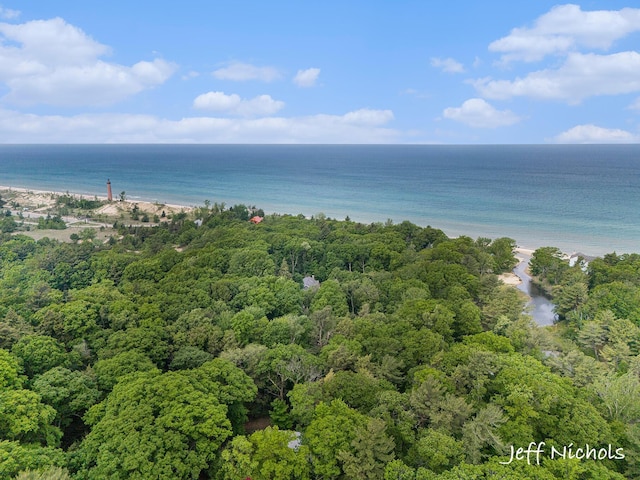 534 N Lighthouse Dr, Mears, MI 49436 - water view featuring local beach