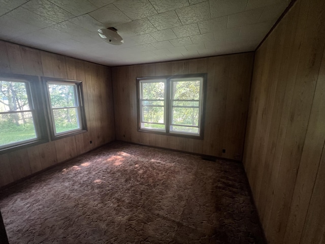 919 Nature Ln, Montgomery, MI 49255 - carpeted empty room with wooden walls and healthy amount of natural light