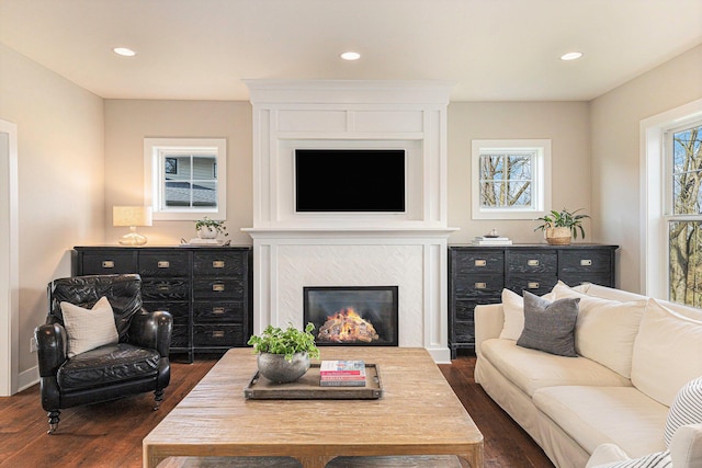2377 Lake Birch Ct NE, Grand Rapids, MI 49525 - living room featuring dark wood-style flooring, recessed lighting, and a fireplace