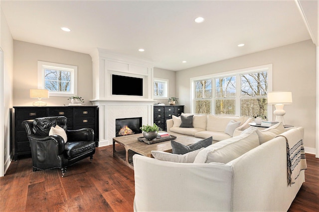 2377 Lake Birch Ct NE, Grand Rapids, MI 49525 - living area with plenty of natural light, dark wood-type flooring, a large fireplace, and recessed lighting