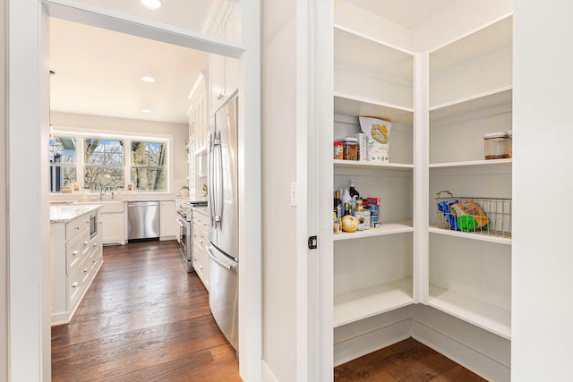 2377 Lake Birch Ct NE, Grand Rapids, MI 49525 - view of pantry