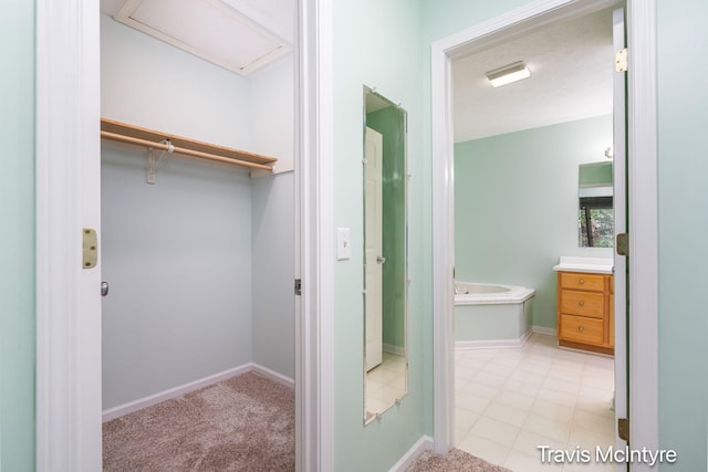 17909 Hidden Dunes Ln Unit B, Spring Lake, MI 49456 - bathroom with vanity and a garden tub