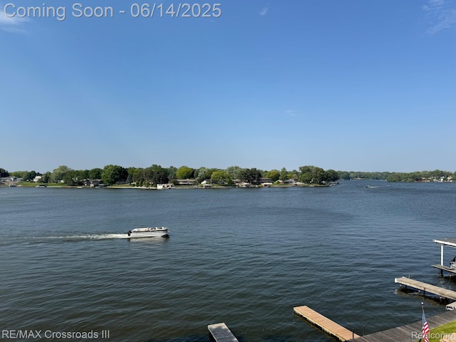 250 N Liberty St Unit 310, Belleville, MI 48111 - dock area featuring a water view