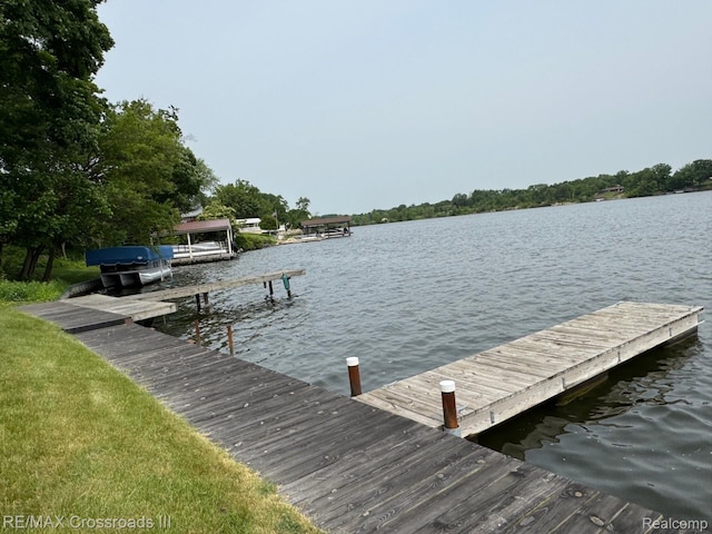 250 N Liberty St Unit 310, Belleville, MI 48111 - dock featuring a water view
