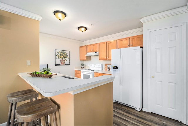 2756 Barclay Way, Ann Arbor, MI 48105 - kitchen with white appliances, under cabinet range hood, dark wood-style flooring, crown molding, and light countertops
