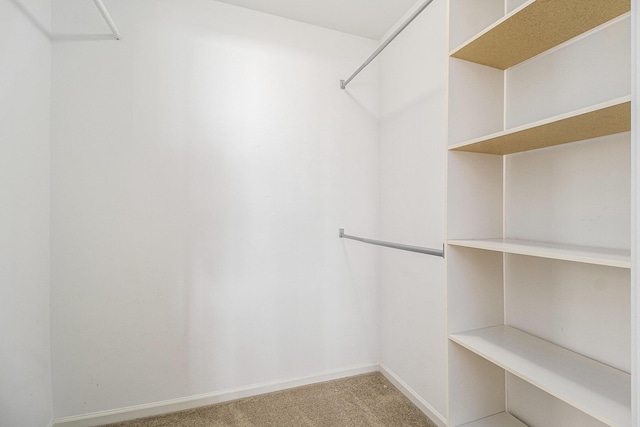 2756 Barclay Way, Ann Arbor, MI 48105 - walk in closet featuring light colored carpet