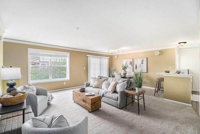 2756 Barclay Way, Ann Arbor, MI 48105 - living room featuring carpet flooring and crown molding