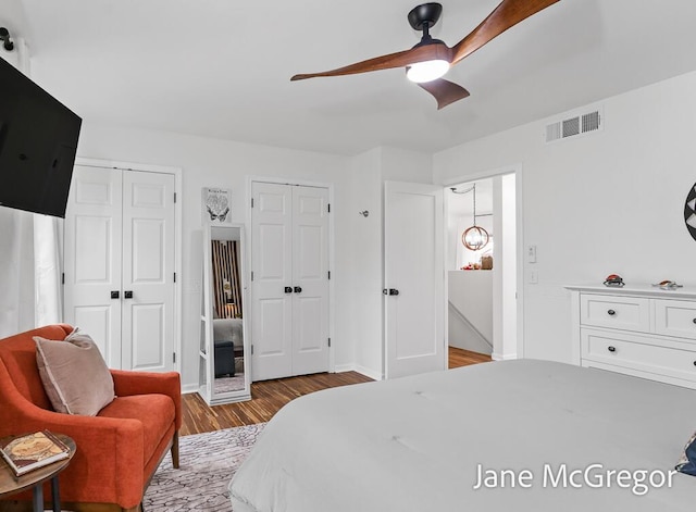 15159 Westray St, Grand Haven, MI 49417 - bedroom with multiple closets, wood finished floors, and a ceiling fan