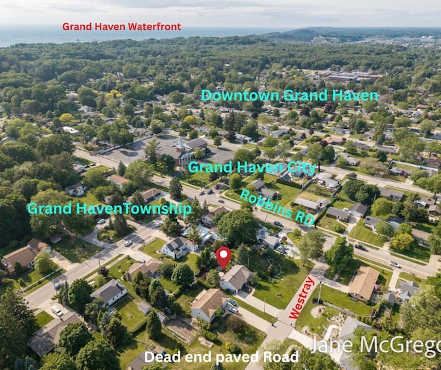 15159 Westray St, Grand Haven, MI 49417 - drone / aerial view of a forest