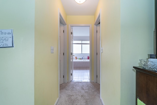 5992 Cedar Ridge Dr, Ann Arbor, MI 48103 - corridor featuring carpet and baseboards