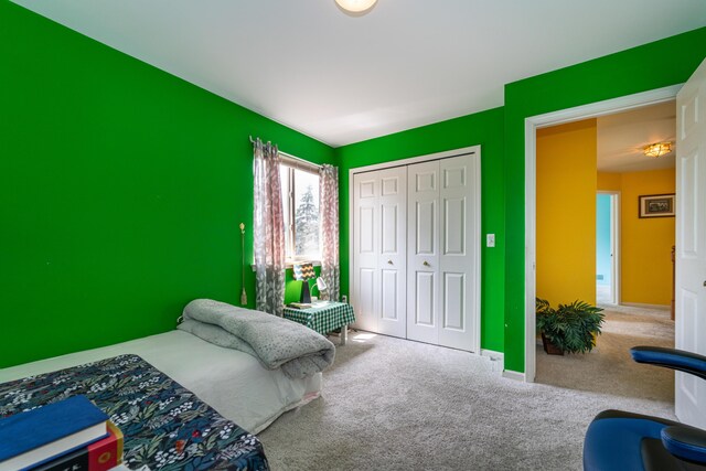 5992 Cedar Ridge Dr, Ann Arbor, MI 48103 - carpeted bedroom with a closet and baseboards