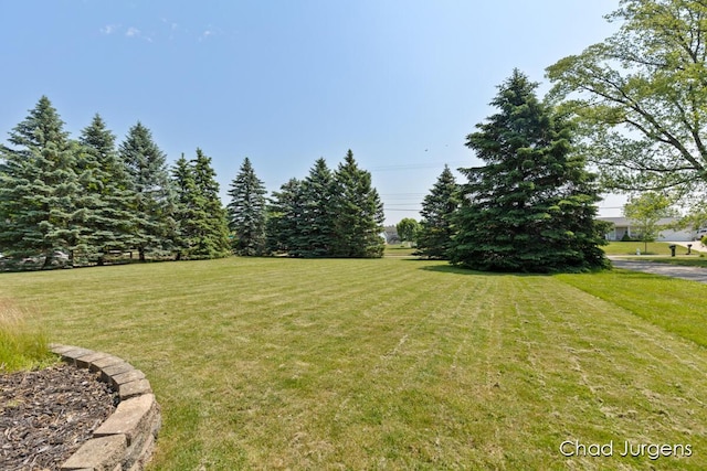 647 Maynard NW, Grand Rapids, MI 49504 - view of green lawn