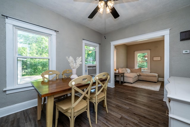 620 Vann St, Niles, MI 49120 - dining room with dark wood-style floors, plenty of natural light, ceiling fan, a textured wall, and cooling unit