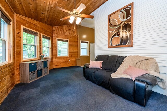 620 Vann St, Niles, MI 49120 - living area featuring wood walls, lofted ceiling, wood ceiling, dark colored carpet, and plenty of natural light