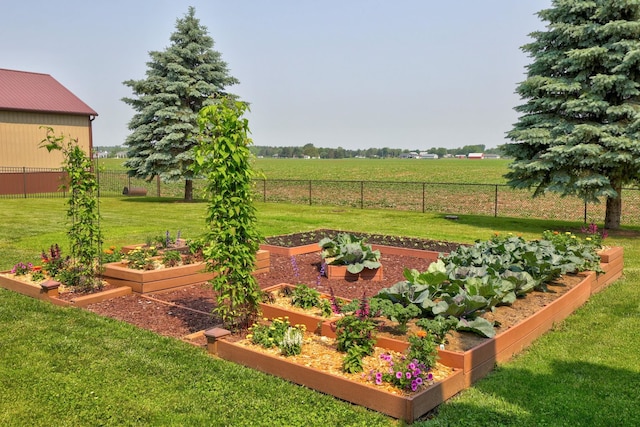 10317 Lange Rd, Birch Run, MI 48415 - view of yard with a view of countryside, a vegetable garden, and agricultural plots