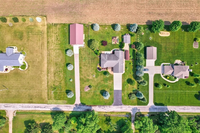 10317 Lange Rd, Birch Run, MI 48415 - aerial view of property and surrounding area