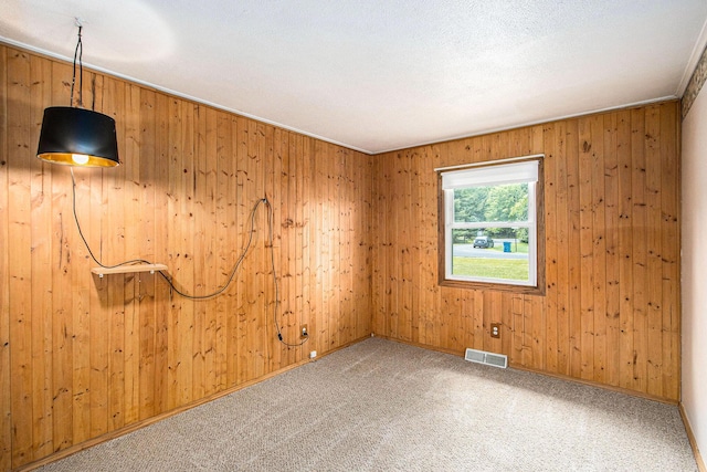 51591 Oak Dr, Mattawan, MI 49071 - unfurnished room with wood walls and carpet floors