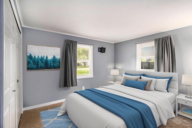51591 Oak Dr, Mattawan, MI 49071 - carpeted bedroom featuring crown molding and a closet