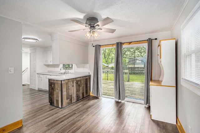51591 Oak Dr, Mattawan, MI 49071 - kitchen with light countertops, healthy amount of natural light, dark wood finished floors, ceiling fan, and a textured ceiling