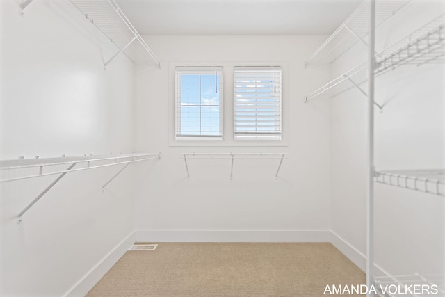 1753 Portadown Rd, Byron Center, MI 49315 - spacious closet with light carpet