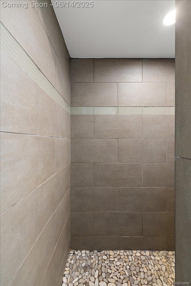 5432 Blood Rd, Metamora, MI 48455 - view of bathroom