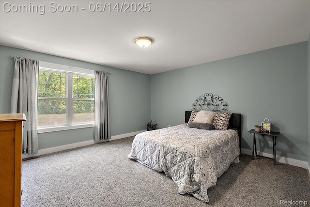 5432 Blood Rd, Metamora, MI 48455 - bedroom featuring carpet and baseboards