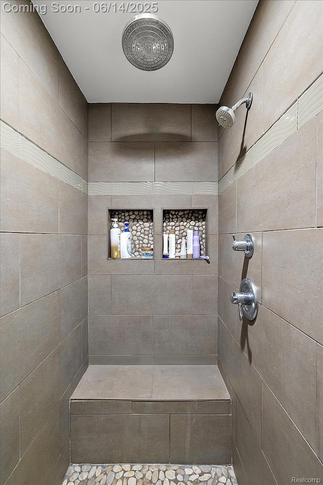 5432 Blood Rd, Metamora, MI 48455 - full bath with tiled shower
