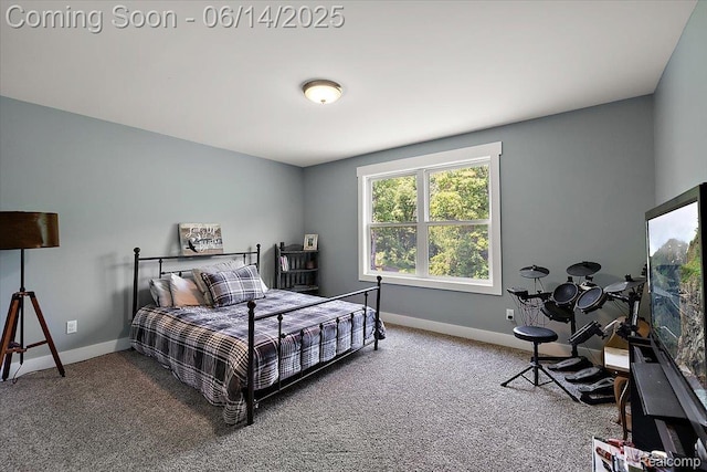 5432 Blood Rd, Metamora, MI 48455 - carpeted bedroom with baseboards