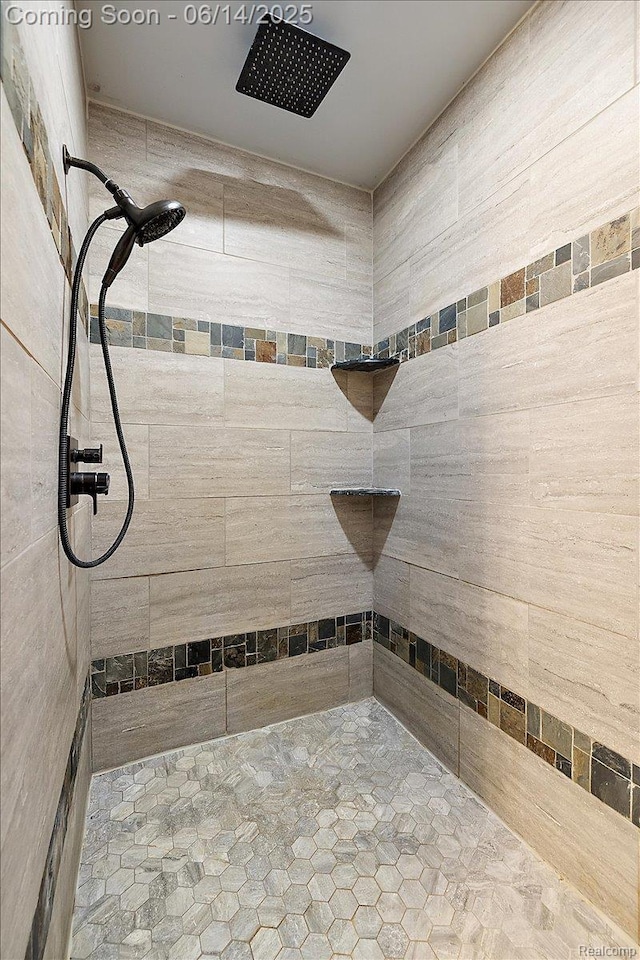 5432 Blood Rd, Metamora, MI 48455 - bathroom featuring a tile shower