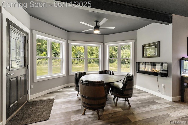 5432 Blood Rd, Metamora, MI 48455 - dining room with wood finished floors, a ceiling fan, and a multi sided fireplace