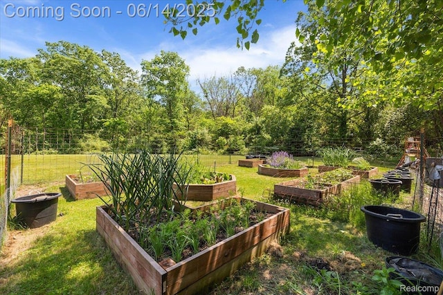 5432 Blood Rd, Metamora, MI 48455 - view of grassy yard with a vegetable garden