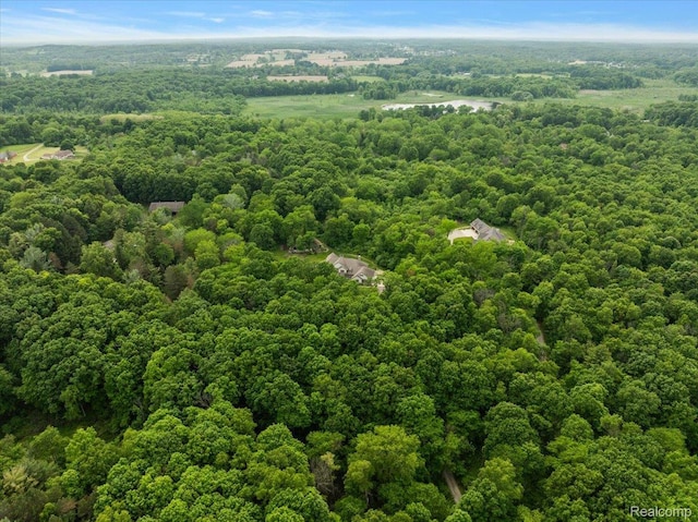 5432 Blood Rd, Metamora, MI 48455 - aerial view of a heavily wooded area