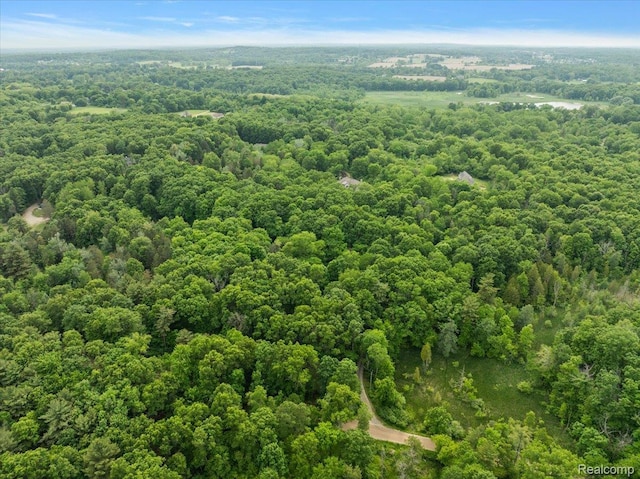 5432 Blood Rd, Metamora, MI 48455 - drone / aerial view of a forest
