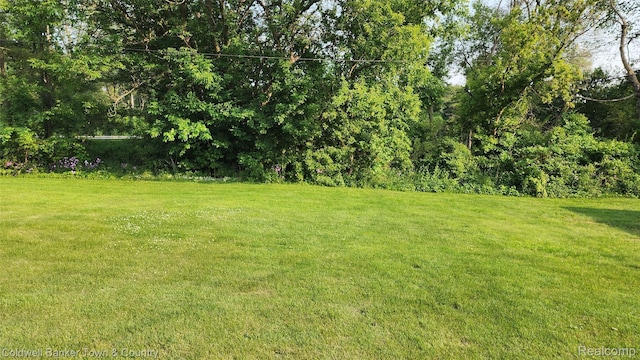 57035 Bonne Terre, New Hudson, MI 48165 - view of grassy yard