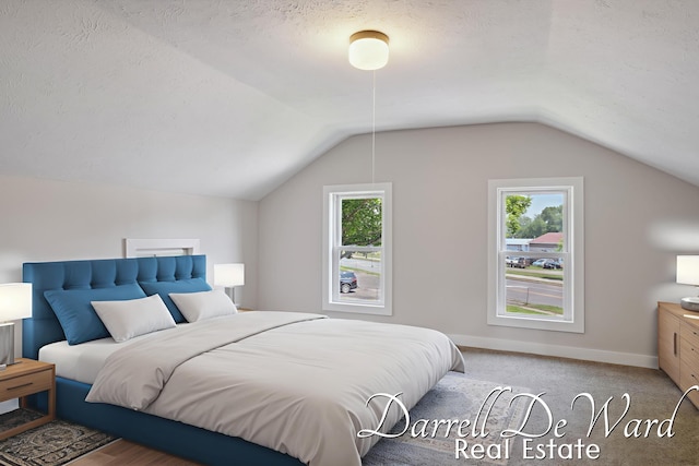 612 E Green St, Hastings, MI 49058 - bedroom featuring multiple windows, lofted ceiling, a textured ceiling, and carpet floors