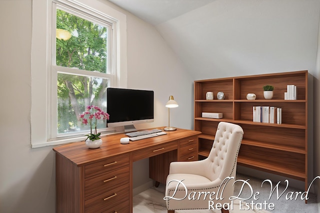 612 E Green St, Hastings, MI 49058 - office space featuring vaulted ceiling and healthy amount of natural light