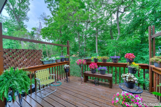 1366 W Norton Ave, Muskegon, MI 49441 - view of deck