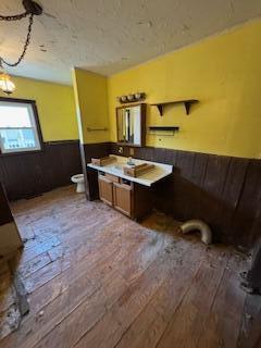 313 Morse St, Ionia, MI 48846 - bathroom with hardwood / wood-style floors, wainscoting, and vanity