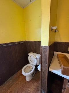 313 Morse St, Ionia, MI 48846 - bathroom featuring wainscoting and wood finished floors