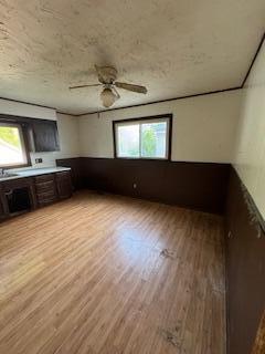 313 Morse St, Ionia, MI 48846 - unfurnished living room with light wood-style floors