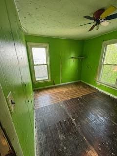 313 Morse St, Ionia, MI 48846 - spare room with hardwood / wood-style flooring, healthy amount of natural light, and ceiling fan