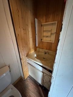 313 Morse St, Ionia, MI 48846 - bathroom view of wooden walls and vanity
