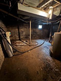 313 Morse St, Ionia, MI 48846 - basement with water heater