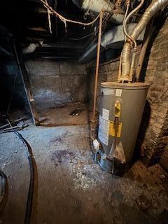 313 Morse St, Ionia, MI 48846 - unfinished basement with gas water heater